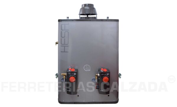 CALENTADOR DE PASO 20LXMDUPLEX HESA GAS LP